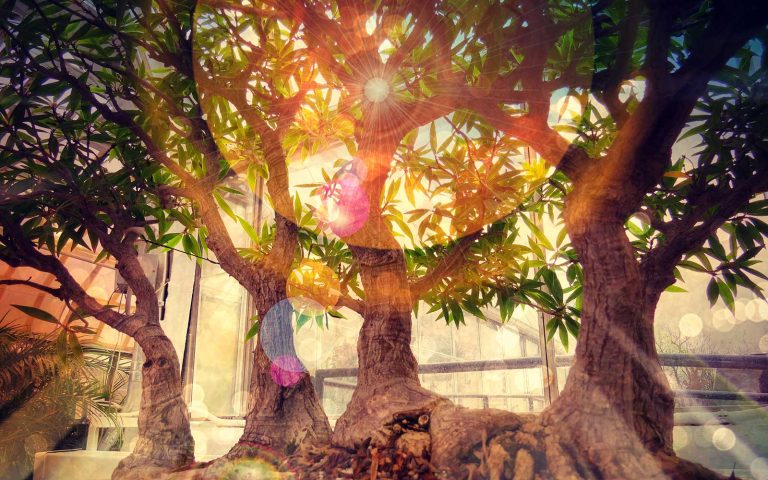 Esther Hicks: Die Abraham-Hicks-Lehre in 12 Punkten